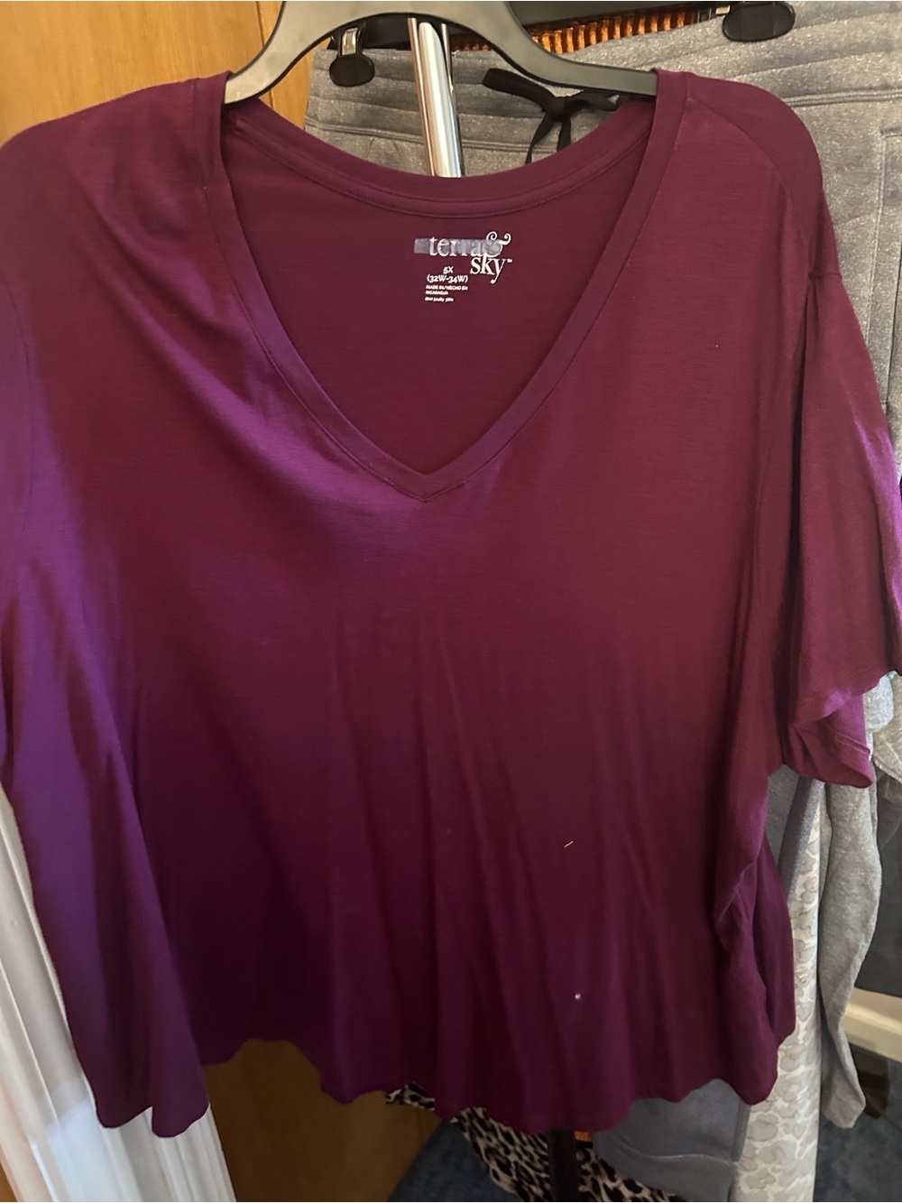 Terra & Sky V-Neck Short Sleeve Top — Plum